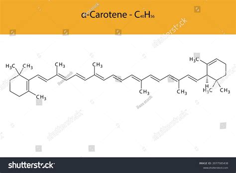 Alpha Carotene Skeletal Structure Molecular Formula Stock Vector ...