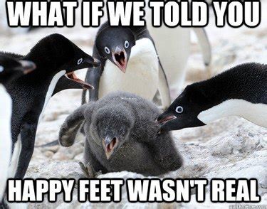 This Penguin Meme Collection Proves Penguins Are The Funniest Animals ...