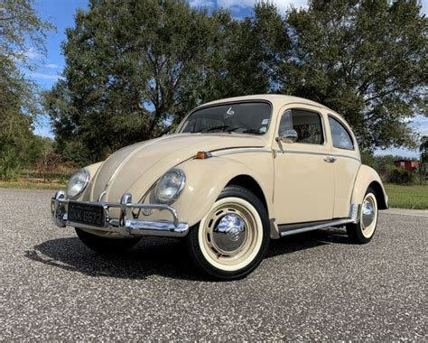 1969 Volkswagen Beetle for sale #304495 | Motorious