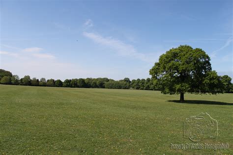 Open Field by Watkins-Photography on DeviantArt