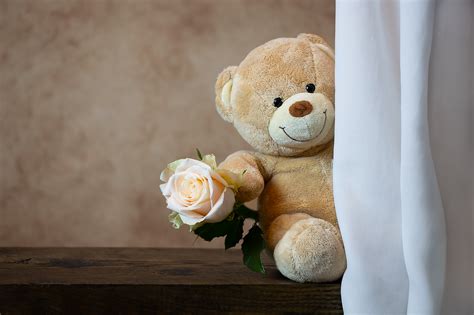 847 Wallpaper Love Teddy Bear For FREE - MyWeb