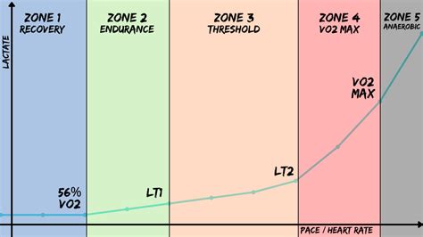 Running Heart Rate Zones 101 | Matthew Boyd Physio