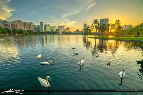 Orlando City Downtown Lake Eola Park Swans at Lake | HDR Photography by ...