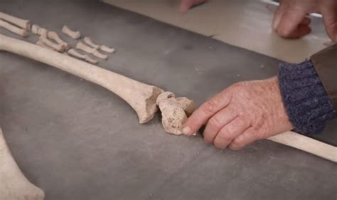 Archaeologist baffled by ancient body reattached 'like a human puppet ...