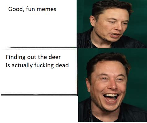 The musk | Elon Musk Laughing at Dead Deer | Know Your Meme