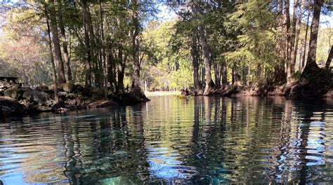 Visit High Springs: 2024 Travel Guide for High Springs, Florida | Expedia