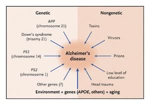 Genetic Factors in Alzheimer's Disease | NEJM