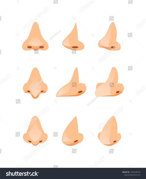 Set Cartoon Noses Front View Side Stock Vector (Royalty Free ...