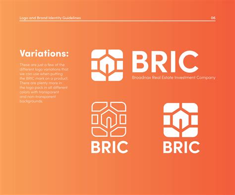 BRIC Logo and Brand Guide on Behance