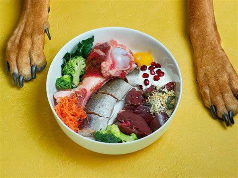 22 Facts About Raw Dog Food - Facts.net