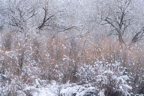 Durango Colorado Winter Nature Photography