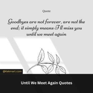 Until We Meet Again Quotes: Heartfelt Quotes For Saying Goodbye - Kekmart