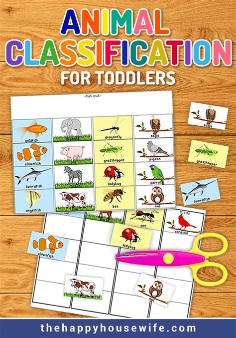 Animal Classification For Kids Worksheets