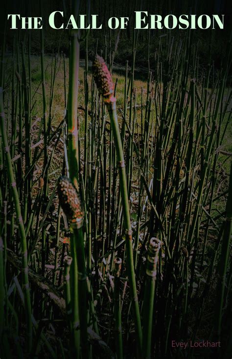 The Call of Erosion by Evey Lockhart