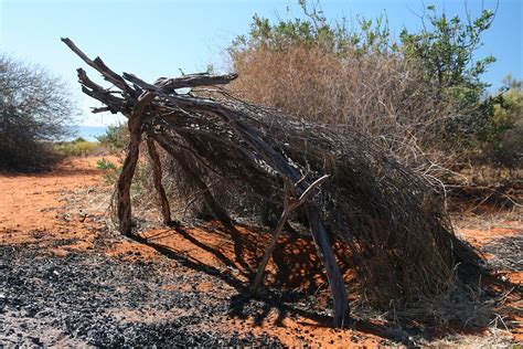 Aboriginal hut | Stefan L. | Flickr