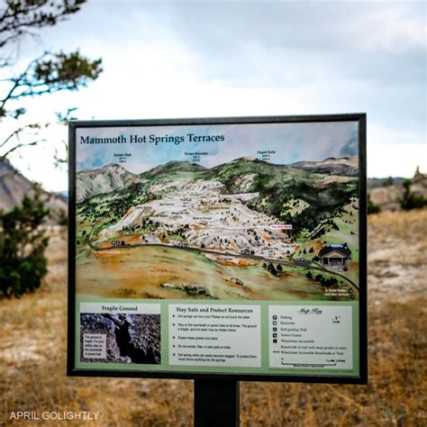 Mammoth Hot Springs Yellowstone - April Golightly