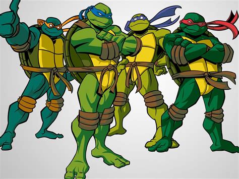 Teenage Mutant Ninja Turtles 2003 | Teenage mutant ninja turtles art, Ninja turtles cartoon, Tmnt