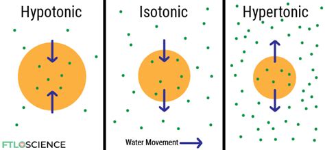 SCE and FD Calculations for Isotonic Solutions | FTLOScience