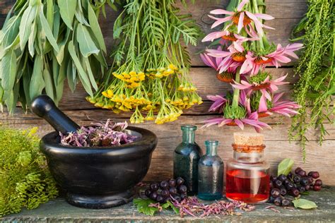 How to Create Your Own Herbal Apothecary At Home - The House & Homestead