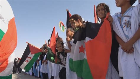 Can the Western Sahara conflict be resolved? | TV Shows | Al Jazeera