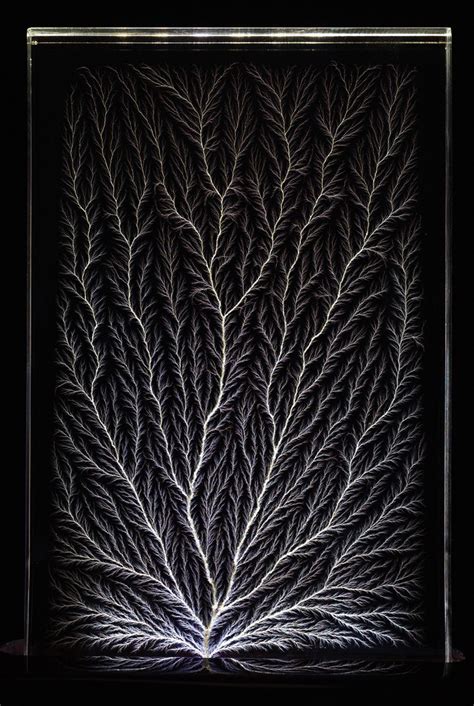 Lichtenberg figure, by Bert Hickman | Lichtenberg figures, Tattoo graphic, Abstract artwork