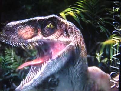 Velociraptor!!! | Dinos Tephix