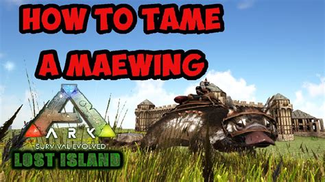 ARK SURVIVAL EVOLVED HOW TO TAME A MAEWING ON THE LOST ISLAND - YouTube