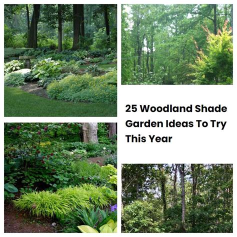 25 Woodland Shade Garden Ideas To Try This Year | SharonSable