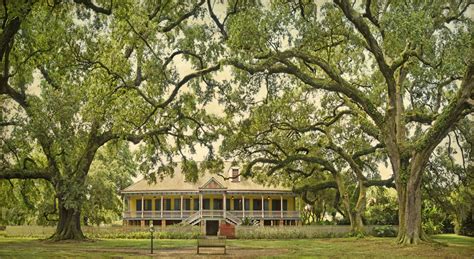 Laura Plantation | Discover Louisiana Creole Heritage Site