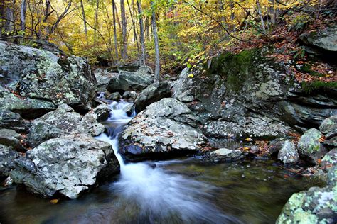 Autumn Forest Creek Waterfalls | Creeks & Streams| Free Nature Pictures ...