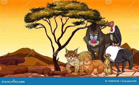 Scene with Many Animals in the Dry Land Stock Vector - Illustration of ...