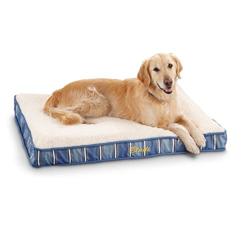 Memory Foam Orthopedic 30" x 40" Pet Bed - 236485, Kennels & Beds at Sportsman's Guide