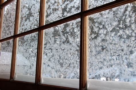 Frosted Windows Free Stock Photo - Public Domain Pictures