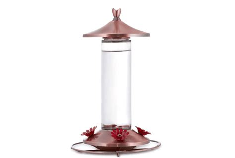 Best Bird Feeders at Home Depot - Birding Insider