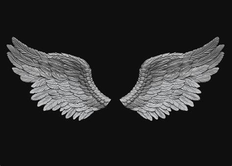 Wings Printable 5 3D model 3D printable | CGTrader