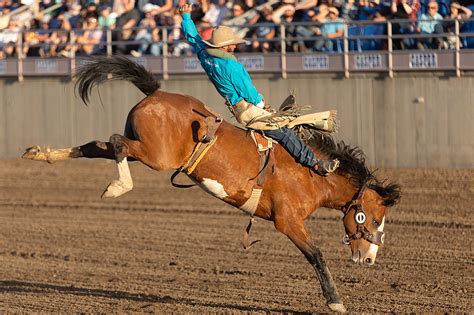 Photos: Central Wyoming Rodeo-Saturday