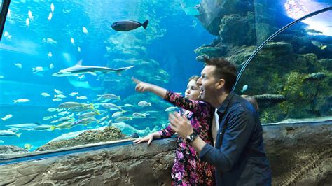 SEA LIFE London Aquarium | Tickets, facts, deals and general info ...