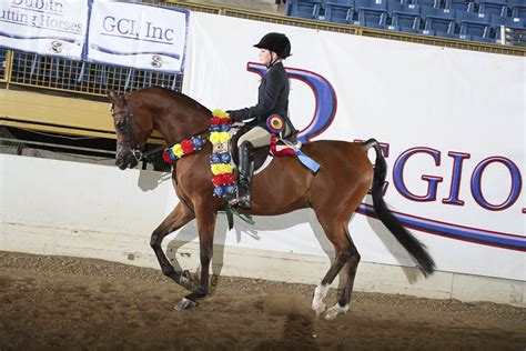 Hunt Seat 10 & Under - Horse Shows - 2020 - 2023 Farm and Horse Shows - 2020 Region 8 ...