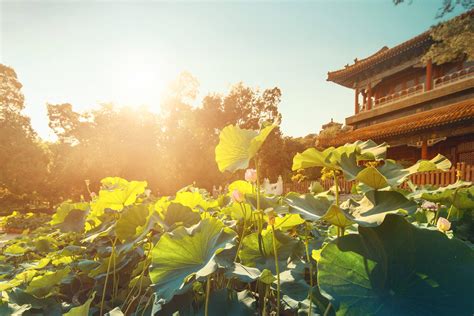 Inside Beijing’s cultural hotspots | Luxury Travel | MO Magazine