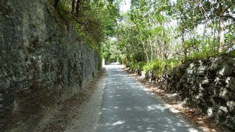 Railway Trail, Bermuda (biked this one) | Bermuda, Trail, World