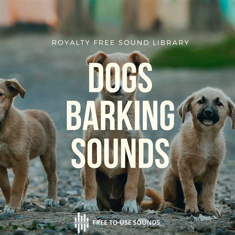 Dog Barking Sound Effects Library | freetousesounds