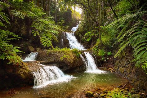 Hidden waterfall in a tropical forrest - andramara.com