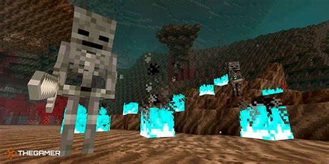 Minecraft: How to Make A Wither Skeleton Farm