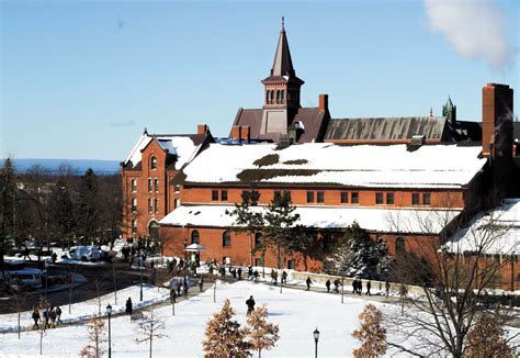 Cats in the snow: Burlington winter weather breaks records – The ...