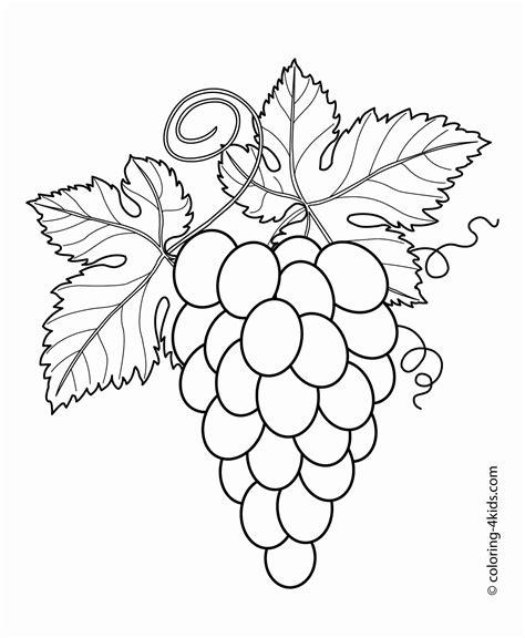 Fruits Coloring Pages for Kindergarten Unique Pin On Coloring for Adults in 2020 | Fruit ...