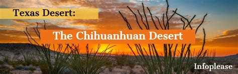 Texas Desert: The Chihuahuan Desert | Infoplease