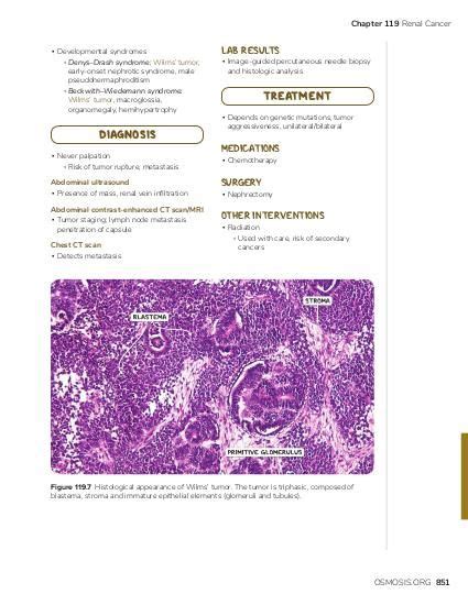 Angiomyolipoma | Osmosis