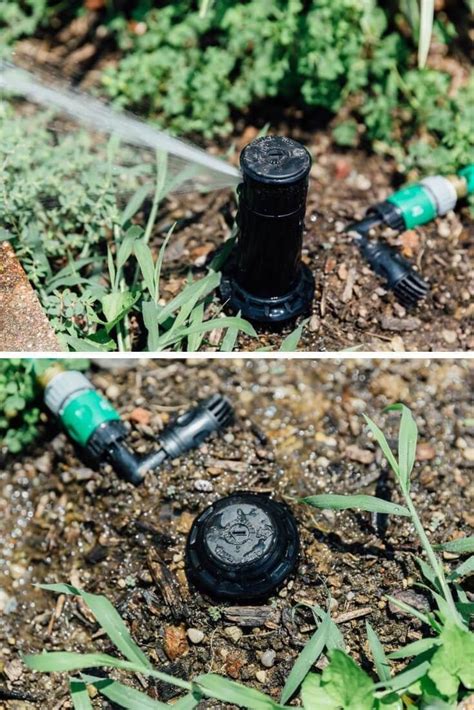 Garden Sprinkler System Ideas