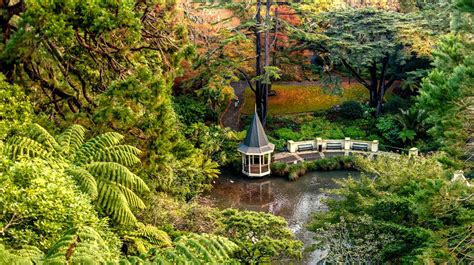 10 best Wellington Gardens to visit, natural attractions: Best Bits
