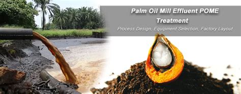 Understanding the Palm Oil Mill Effluent Treatment Process [Efficient Strategies]